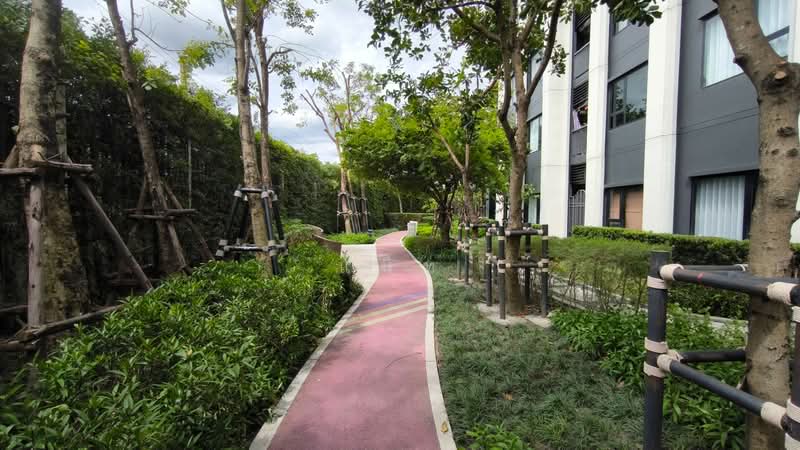 Aspire Sukhumvit-On Nut, Bangkok, Soi On Nut 21, Sukhumvit 77 Road, Suan Luang, Suan Luang, Bangkok, Studio, 31 sqm, Condo For Sale, by แน็ท, 500275596 - DDproperty.com