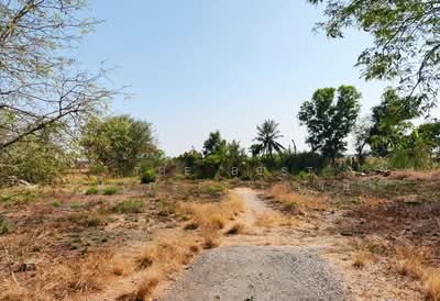ขาย - ที่ดินหนามแดง ฉะเชิงเทรา, ฉะเชิงเทรา