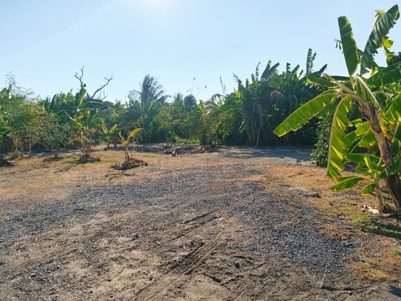 ที่ดินหนามแดง ฉะเชิงเทรา, Chachoengsao, Nam Daeng, Muang Chachoengsao, Chachoengsao, , 2,996 sqm, Land For Sale, by The Best Property ซายน์, 500275809 - DDproperty.com
