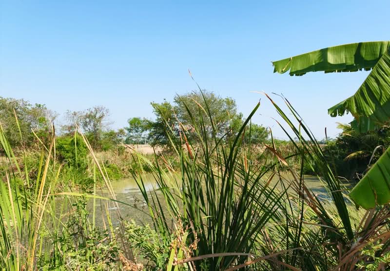ที่ดินหนามแดง ฉะเชิงเทรา, Chachoengsao, Nam Daeng, Muang Chachoengsao, Chachoengsao, , 2,996 sqm, Land For Sale, by The Best Property ซายน์, 500275809 - DDproperty.com