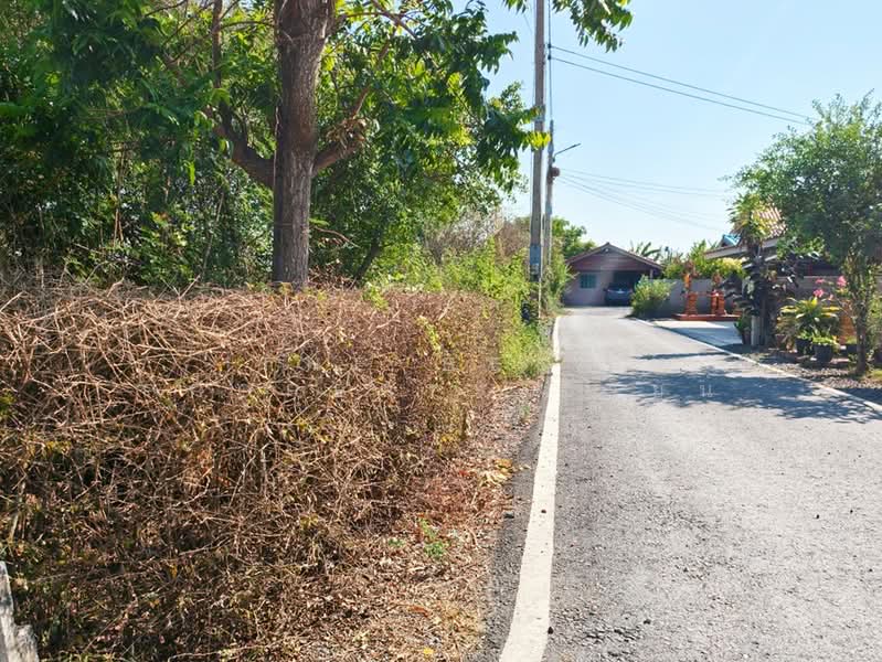 ที่ดินหนามแดง ฉะเชิงเทรา, Chachoengsao, Nam Daeng, Muang Chachoengsao, Chachoengsao, , 2,996 sqm, Land For Sale, by The Best Property ซายน์, 500275809 - DDproperty.com