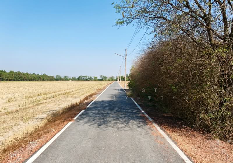 ที่ดินหนามแดง ฉะเชิงเทรา, Chachoengsao, Nam Daeng, Muang Chachoengsao, Chachoengsao, , 2,996 sqm, Land For Sale, by The Best Property ซายน์, 500275809 - DDproperty.com
