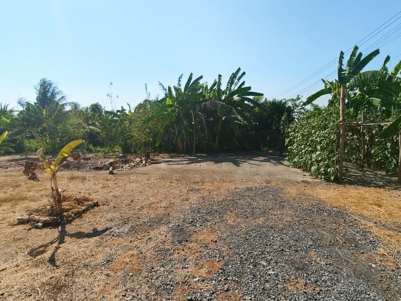 ขาย - ที่ดินหนามแดง ฉะเชิงเทรา, ฉะเชิงเทรา