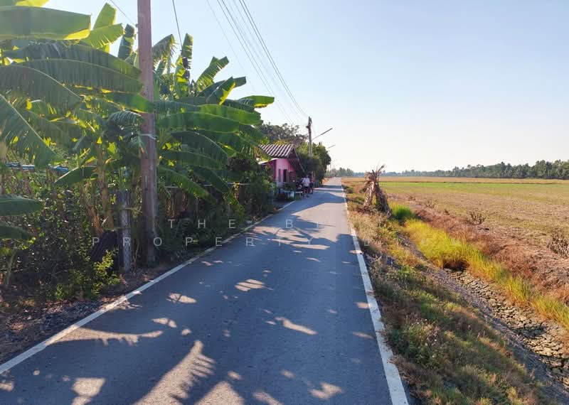 ขาย - ที่ดินหนามแดง ฉะเชิงเทรา, ฉะเชิงเทรา