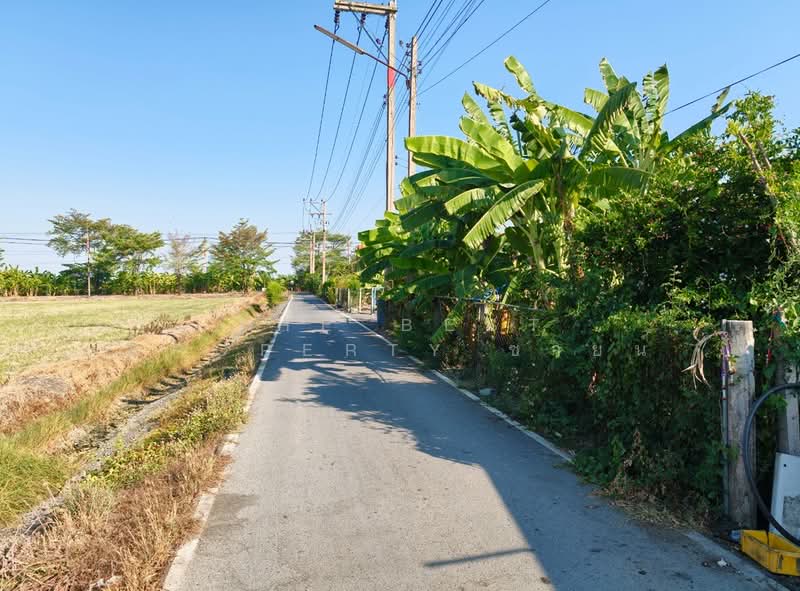 ที่ดินหนามแดง ฉะเชิงเทรา, Chachoengsao, Nam Daeng, Muang Chachoengsao, Chachoengsao, , 472 sqm, Land For Sale, by The Best Property ซายน์, 500275849 - DDproperty.com