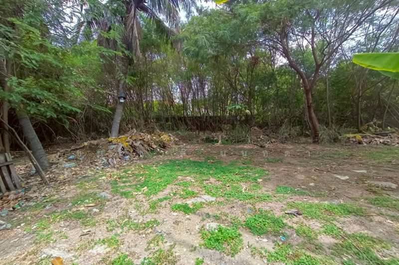 ที่ดินถมแล้ว เนื้อที่ 200 ตร.ว. ซอยรามอินทรา 62 แยก 2 ถนนรามอินทรา แขวงรามอินทรา เขตคันนายาว, กรุงเทพ, รามอินทรา, คันนายาว, กรุงเทพ, 800 ตร.ม., ที่ดิน ขาย, โดย ชนะชาติ นนท์ตา, 500275897 - DDproperty.com