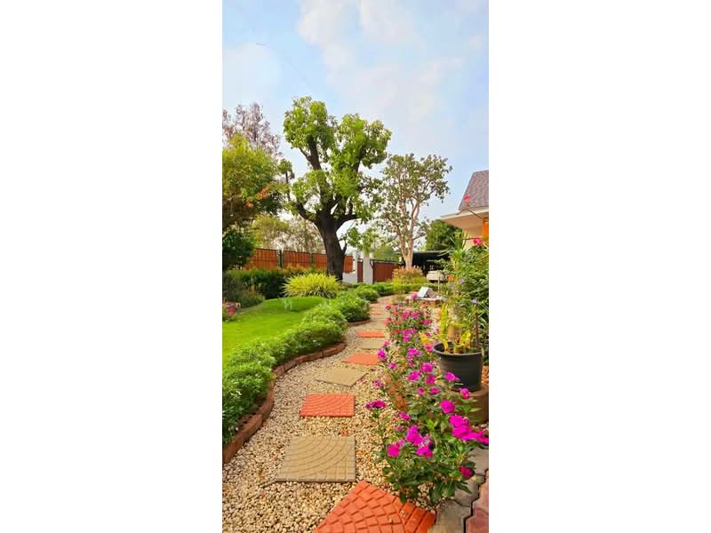 ขายบ้าน ตำบลพญาเย็น อำเภอปากช่อง เขาใหญ่, Nakhon Ratchasima, Phyayen, Pak Chong, Nakhon Ratchasima, 3 Bedrooms, 248 sqm, Single Detached House For Sale, by หมวย, 500276018 - DDproperty.com