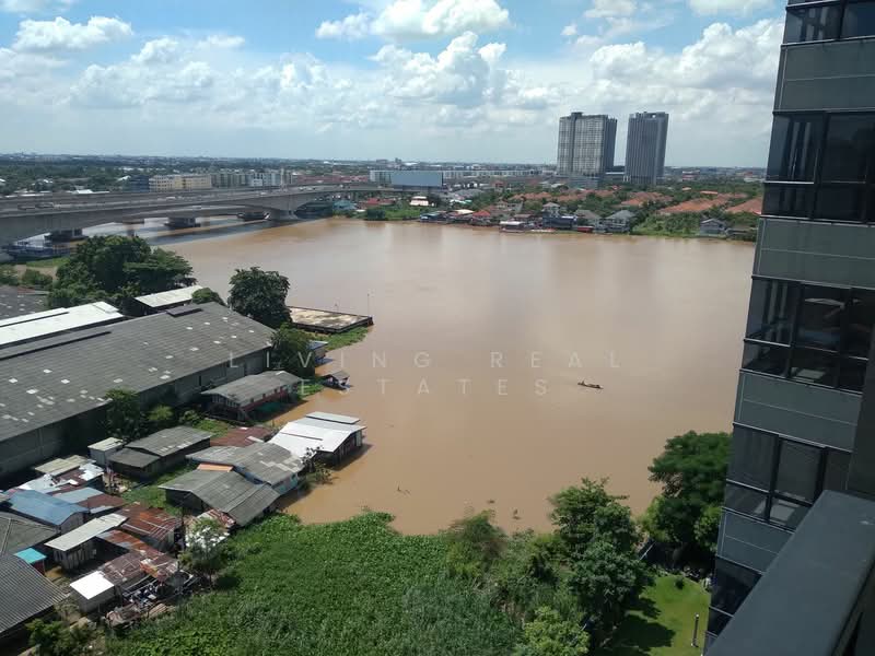 The Politan Rive : เดอะ โพลิแทน รีฟ, นนทบุรี, ซอยนนทบุรี 15, บางกระสอ, เมืองนนทบุรี, นนทบุรี, 32 ตร.ม., คอนโด ให้เช่า, โดย Living Real Estates, 500276360 - DDproperty.com