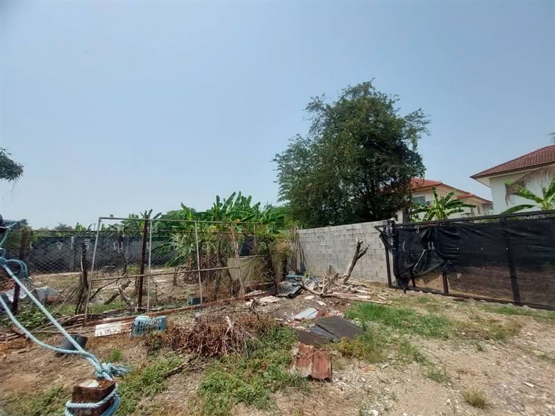 ที่ดิน + บ้านเดี่ยว 1 ชั้น 200 ตร.ว. ใกล้ซาฟารีเวิลด์ ซอยหทัยราษฎร์39 ซอยพิมทอง ถนนหทัยราษฎร์, กรุงเทพ, ถนนหทัยราษฎร์, สามวาตะวันตก, คลองสามวา, กรุงเทพ, 300 ตร.ม., บ้านเดี่ยว ขาย, โดย คุณ พรหมภัสสร เจริญเชื้อตาพระ (แพม), 500276364 - DDproperty.com