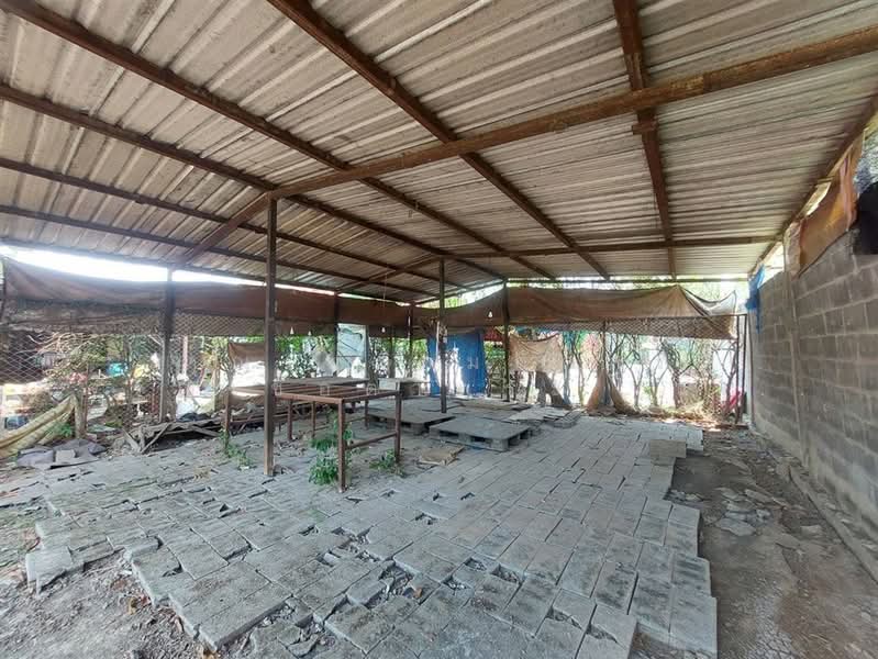 ที่ดิน + บ้านเดี่ยว 1 ชั้น 200 ตร.ว. ใกล้ซาฟารีเวิลด์ ซอยหทัยราษฎร์39 ซอยพิมทอง ถนนหทัยราษฎร์, กรุงเทพ, ถนนหทัยราษฎร์, สามวาตะวันตก, คลองสามวา, กรุงเทพ, 300 ตร.ม., บ้านเดี่ยว ขาย, โดย คุณ พรหมภัสสร เจริญเชื้อตาพระ (แพม), 500276364 - DDproperty.com