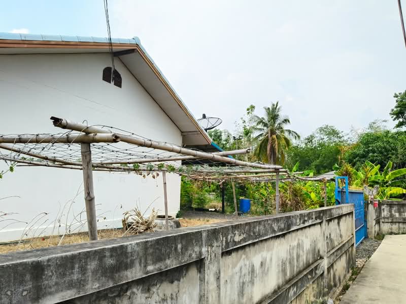 ขาย - บ้านเดี่ยวประโคนชัย บุรีรัมย์, บุรีรัมย์