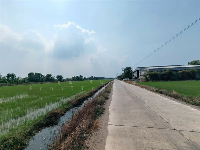 ที่ดินเปล่า 800 ตร.ว. ซอยบึงบอน35 ถนนรังสิต-นครนายก หนองเสือ ปทุมธานี, ปทุมธานี, ถนนรังสิต-นครนายก, บึงบอน, หนองเสือ, ปทุมธานี, 3,200 ตร.ม., ที่ดิน ขาย, โดย คุณ กันตภณ จักกาวิรักษ์ (บอย), 500276392 - DDproperty.com