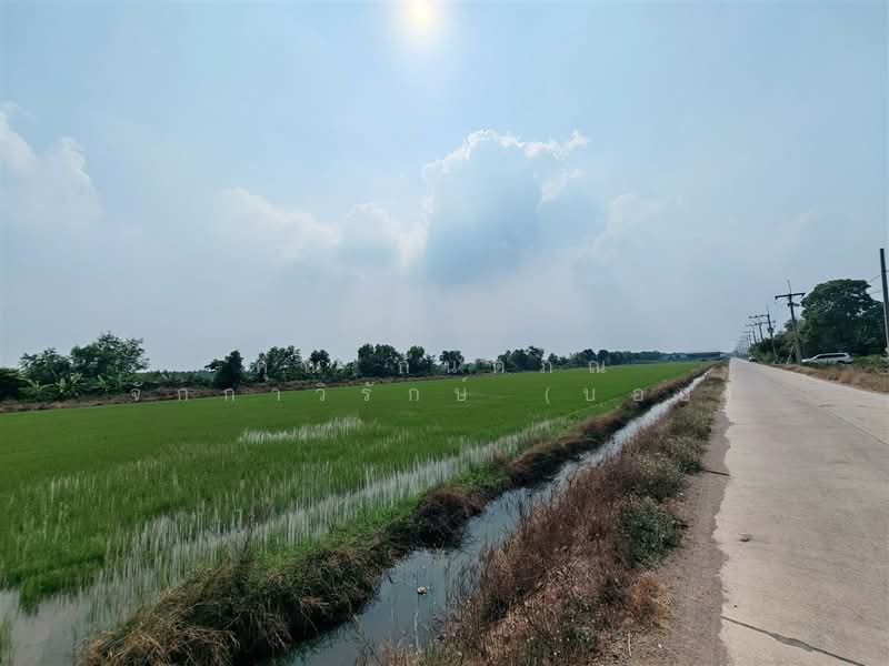 ที่ดินเปล่า 800 ตร.ว. ซอยบึงบอน35 ถนนรังสิต-นครนายก หนองเสือ ปทุมธานี, Pathum Thani, ถนนรังสิต-นครนายก, Bung Bon, Nong Sua, Pathum Thani, , 3,200 sqm, Land For Sale, by คุณ กันตภณ จักกาวิรักษ์ (บอย), 500276392 - DDproperty.com