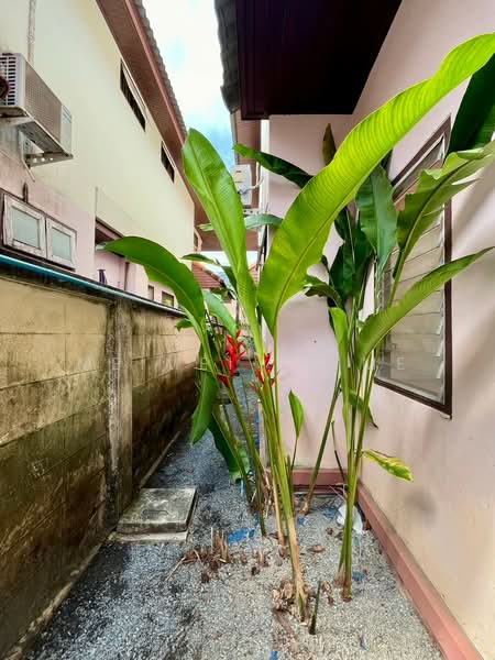 Phanasorn Parkville 1 Village, Phuket, Kathu, Kathu, Phuket, 3 Bedrooms, 151 sqm, Single Detached House For Rent, by MeiMei Prime, 500276403 - DDproperty.com