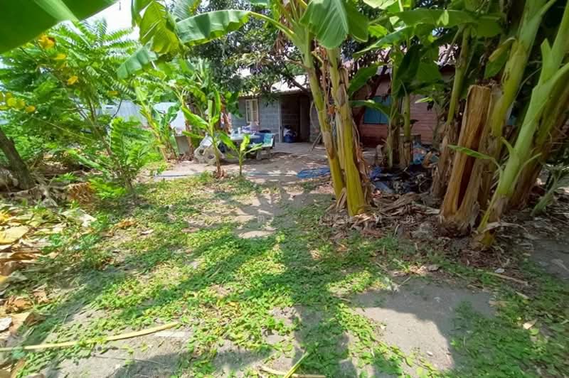 ที่ดินพร้อมบ้าน เนื้อที่ 96 ตร.ว. ซอยเสรีไทย 38, ซอยเสรีไทย 46 (ติดสะพานคลองครุ), กรุงเทพ, รามอินทรา, คันนายาว, กรุงเทพ, 384 ตร.ม., ที่ดิน ขาย, โดย ชนะชาติ นนท์ตา, 500276623 - DDproperty.com