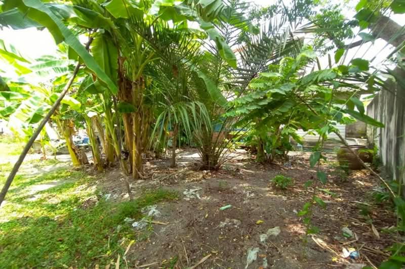 ที่ดินพร้อมบ้าน เนื้อที่ 96 ตร.ว. ซอยเสรีไทย 38, ซอยเสรีไทย 46 (ติดสะพานคลองครุ), Bangkok, Ram Inthra, Khan Na Yao, Bangkok, , 384 sqm, Land For Sale, by ชนะชาติ นนท์ตา, 500276623 - DDproperty.com