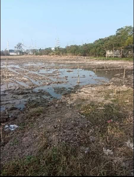 ดาวเรือง, Saraburi, Dao Ruang, Muang Saraburi, Saraburi, , 13,736 sqm, Land For Sale, by ณัสธร ทองไสว, 500276770 - DDproperty.com