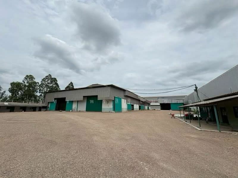 ให้เช่าโรงงาน ติดถนนใหญ่ 7.5ไร่ แบ่งเช่าได้ พระราม2 เดินทางจากกทมเพียง 40นาที (TW8-14926), สมุทรสาคร, บางโทรัด, เมืองสมุทรสาคร, สมุทรสาคร, 4,900 ตร.ม., โกดัง-โรงงาน ให้เช่า, โดย ณภัทร พรสิริเมธากุล, 500276943 - DDproperty.com