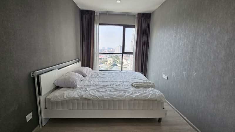 Life Sukhumvit 48, Bangkok, Soi Sukhumvit 48, Phra Kanong, Khlong Toei, Bangkok, 2 Bedrooms, 50 sqm, Condo For Rent, by BANGKOK PROPERTY AGENTS, 500277166 - DDproperty.com