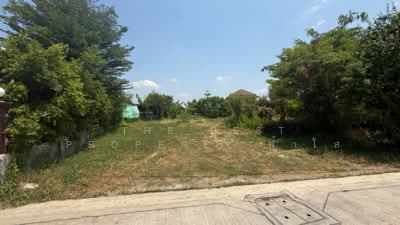ขาย - ที่ดินหนองดินแดง นครปฐม, นครปฐม
