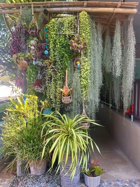 บ้าน 3-ห้องนอน, ประจวบคีรีขันธ์, หัวหิน, หัวหิน, ประจวบคีรีขันธ์, 450 ตร.ม., บ้านเดี่ยว ขาย, โดย Netsakaw Thongsritep, 500277243 - DDproperty.com