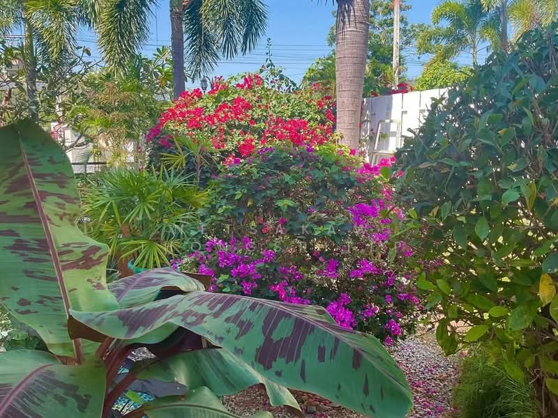 3-BR House, Prachuap Khiri Khan, Hua Hin, Hua Hin, Prachuap Khiri Khan, 3 Bedrooms, 450 sqm, Single Detached House For Sale, by Netsakaw Thongsritep, 500277243 - DDproperty.com