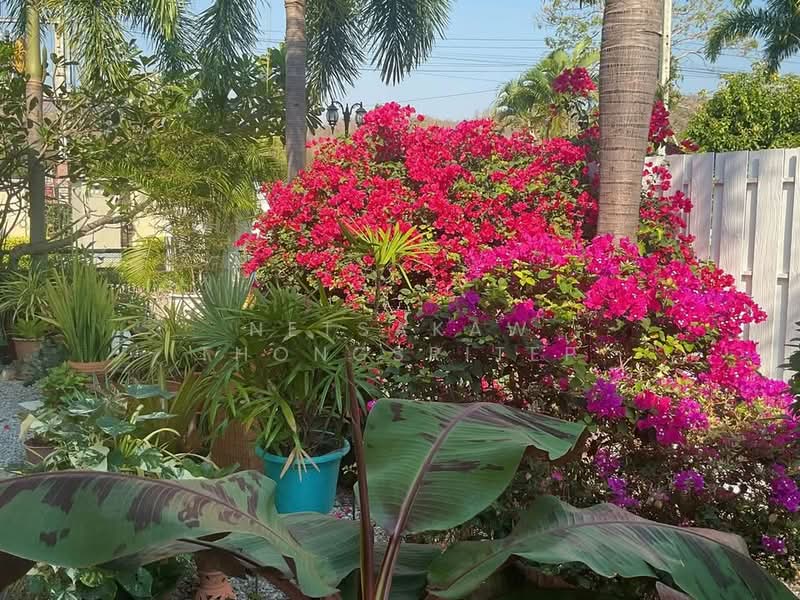 3-BR House, Prachuap Khiri Khan, Hua Hin, Hua Hin, Prachuap Khiri Khan, 3 Bedrooms, 450 sqm, Single Detached House For Sale, by Netsakaw Thongsritep, 500277243 - DDproperty.com