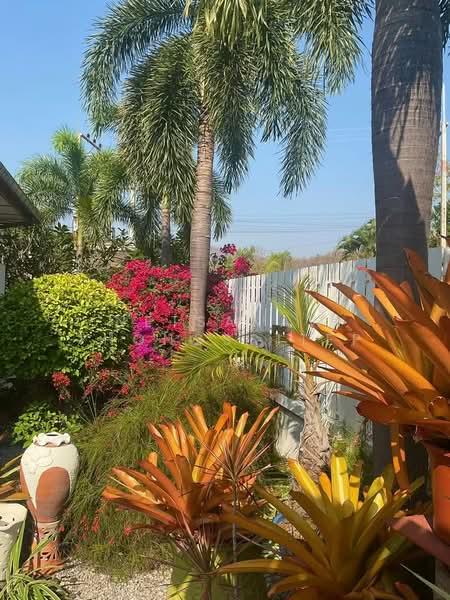 3-BR House, Prachuap Khiri Khan, Hua Hin, Hua Hin, Prachuap Khiri Khan, 3 Bedrooms, 450 sqm, Single Detached House For Sale, by Netsakaw Thongsritep, 500277243 - DDproperty.com