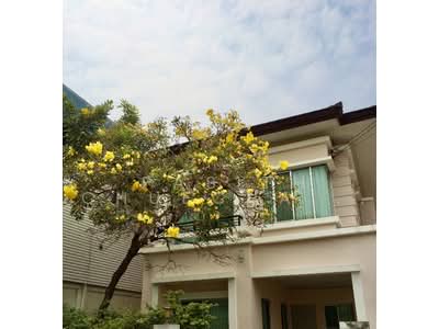 ขาย - The Centro Sukhumvit 113 : เดอะ เซนโทร สุขุมวิท 113, สมุทรปราการ