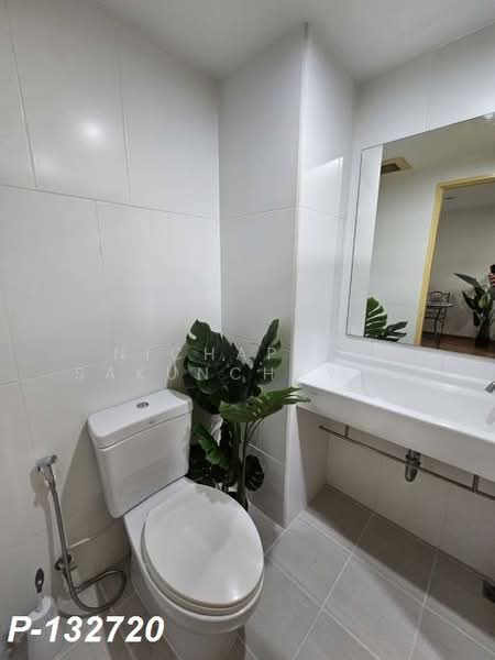 U Delight @ Onnut Station, Bangkok, 406 Sukhumvit 77 Road, Suan Luang, Suan Luang, Bangkok, 1 Bedroom, 30 sqm, Condo For Rent, by Nichaphat Sakunchayapha, 500277435 - DDproperty.com