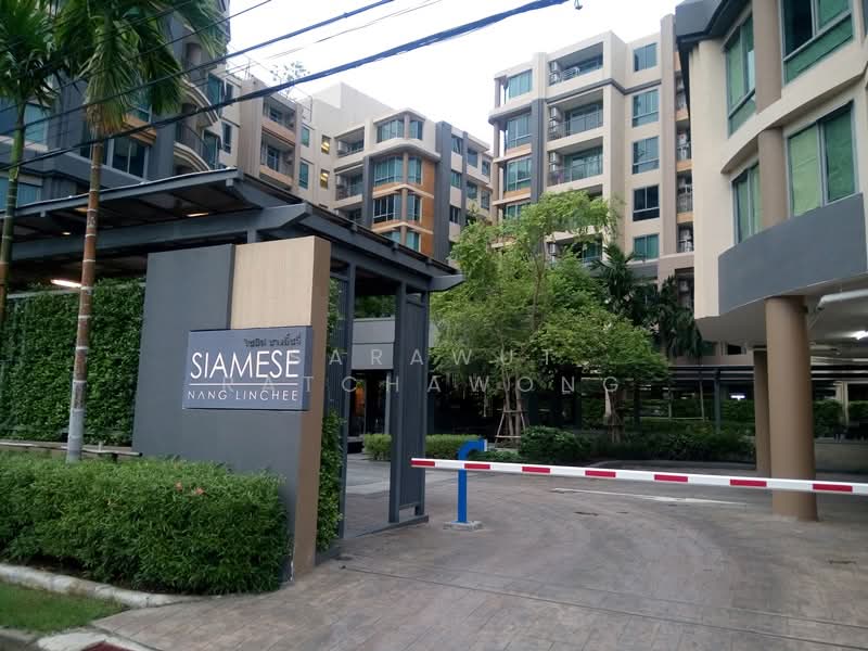 For Sale - Siamese Nang Linchee, Bangkok