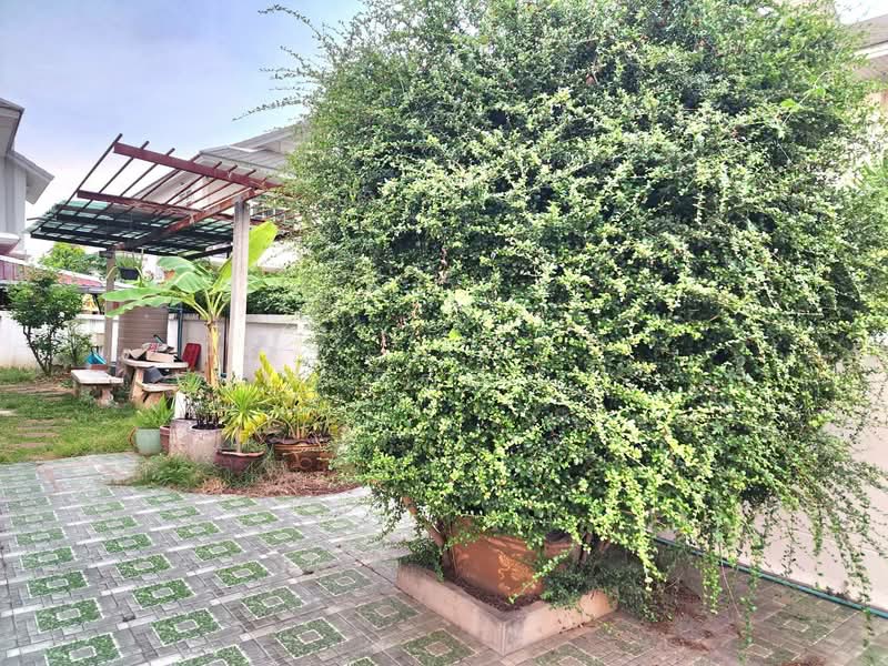 House for sale, Nakhon Ratchasima, Nai Muang, Muang Nakhon Ratchasima, Nakhon Ratchasima, 3 Bedrooms, 320 sqm, Single Detached House For Sale, by วิรณี, 500277844 - DDproperty.com
