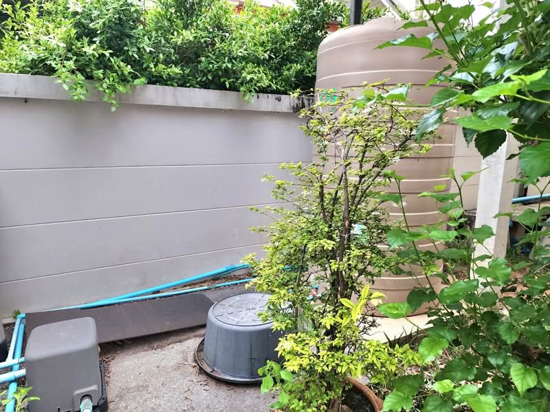 House for sale, Nakhon Ratchasima, Nai Muang, Muang Nakhon Ratchasima, Nakhon Ratchasima, 3 Bedrooms, 320 sqm, Single Detached House For Sale, by วิรณี, 500277844 - DDproperty.com