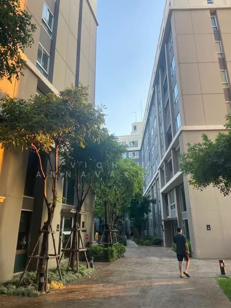 Dcondo Campus Resort Ratchapruek-Charan 13, Bangkok, Bang Waek Road, Bang Waek, Phasi Charoen, Bangkok, 1 Bedroom, 61 sqm, Condo For Rent, by Vichai  Annavakulthorn, 500278410 - DDproperty.com