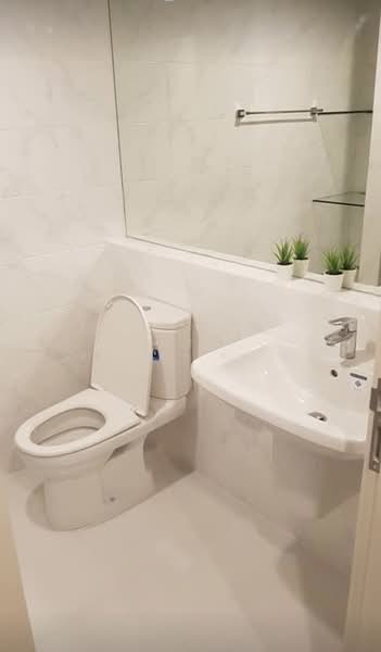 The Niche Mono Sukhumvit 50, Bangkok, Soi Loemcharen, Sukhumvit 50 Road, Phra Kanong, Khlong Toei, Bangkok, 1 Bedroom, 29 sqm, Condo For Rent, by ปัณณภัสร์​ ศรี​พัชร​พัช​ร์, 500278484 - DDproperty.com