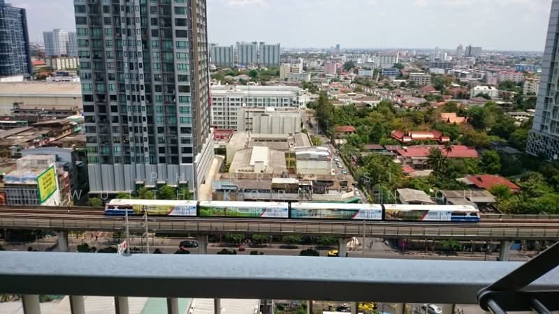 Rhythm Sukhumvit 50, Bangkok, 8 Sukhumvit 50, Sukhumvit Road, Phra Kanong, Khlong Toei, Bangkok, 1 Bedroom, 45 sqm, Condo For Rent, by Naruemol Wongta, 500278718 - DDproperty.com