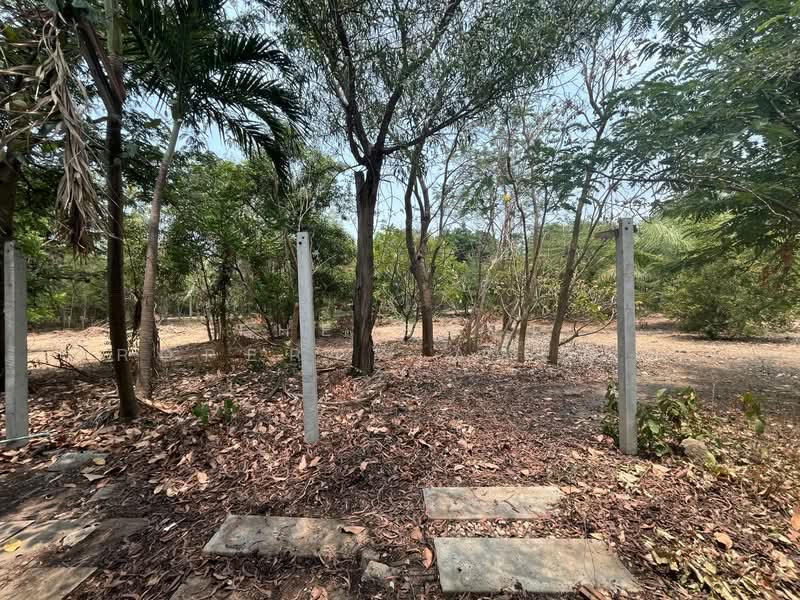 บ้านเดี่ยวพร้อมที่ดินดอนเจดีย์ สุพรรณบุรี, Suphan Buri, Don Chedi, Don Chedi, Suphan Buri, Studio, 100 sqm, Single Detached House For Sale, by The Best Property Agent แอ้, 500278720 - DDproperty.com