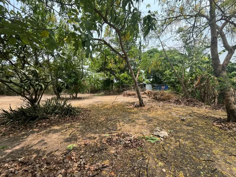บ้านเดี่ยวพร้อมที่ดินดอนเจดีย์ สุพรรณบุรี, สุพรรณบุรี, ดอนเจดีย์, ดอนเจดีย์, สุพรรณบุรี, 100 ตร.ม., บ้านเดี่ยว ขาย, โดย The Best Property Agent แอ้, 500278720 - DDproperty.com