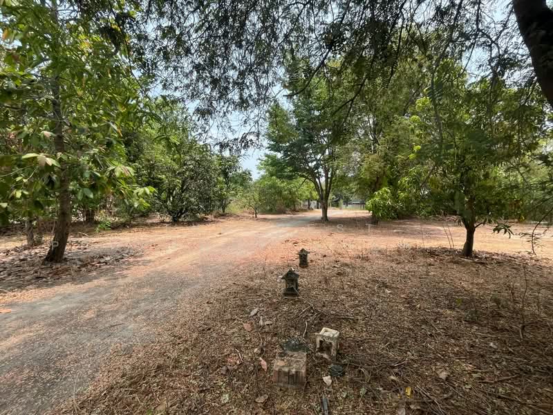 บ้านเดี่ยวพร้อมที่ดินดอนเจดีย์ สุพรรณบุรี, สุพรรณบุรี, ดอนเจดีย์, ดอนเจดีย์, สุพรรณบุรี, 100 ตร.ม., บ้านเดี่ยว ขาย, โดย The Best Property Agent แอ้, 500278720 - DDproperty.com
