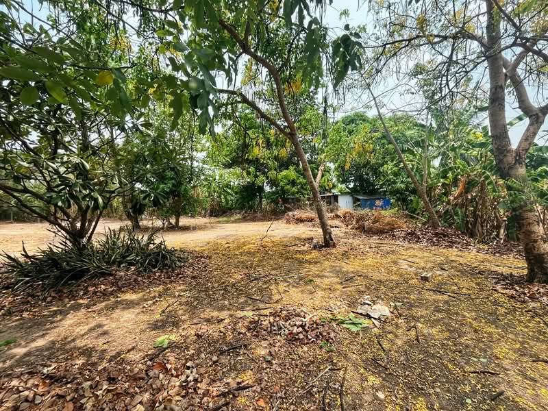 บ้านเดี่ยวพร้อมที่ดินดอนเจดีย์ สุพรรณบุรี, สุพรรณบุรี, ดอนเจดีย์, ดอนเจดีย์, สุพรรณบุรี, 100 ตร.ม., บ้านเดี่ยว ขาย, โดย The Best Property Agent แอ้, 500278720 - DDproperty.com