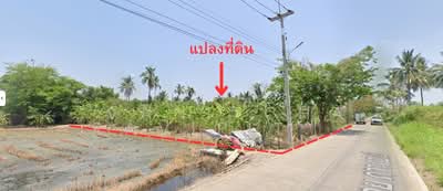 ขาย - พุทธมลฑล สาย 5, นครปฐม