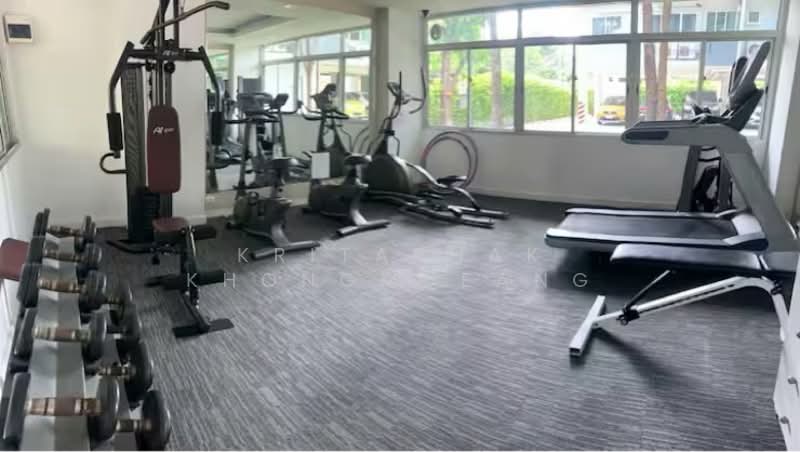 My Condo Sukhumvit 81 : มายคอนโด สุขุมวิท81, กรุงเทพ, ซอยสุขุมวิท 81 ถนนสุขุมวิท, บางจาก, พระโขนง, กรุงเทพ, 35 ตร.ม., คอนโด ให้เช่า, โดย Kritaphak Khongmueang, 500278775 - DDproperty.com