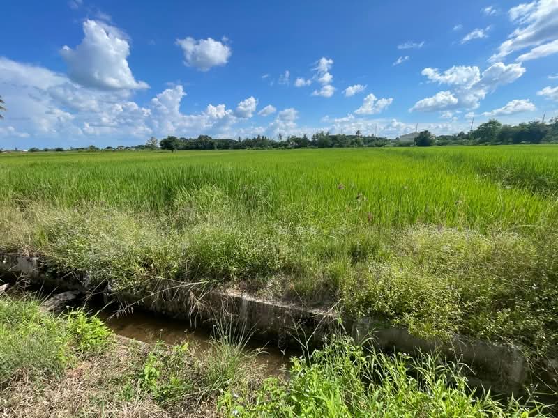 ที่ดินศิลา ขอนแก่น, Khon Kaen, Sila, Muang Khon Kaen, Khon Kaen, , 4,092 sqm, Land For Sale, by The Best Property โมทย์, 500278851 - DDproperty.com
