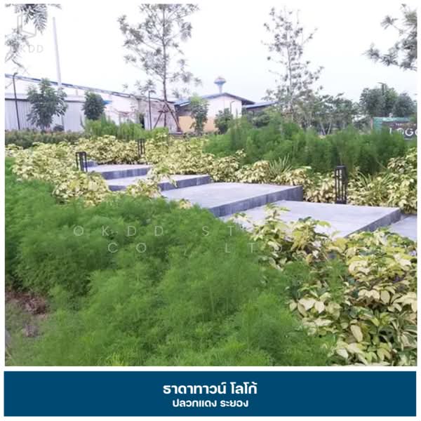 Thada Town Logo Pluak Daeng, Rayong, Rayong, Ta Sit, Pluak Daeng, Rayong, 3 Bedrooms, 148 sqm, Townhouse For Sale, by OKDD STUDIO Co., Ltd., 500278892 - DDproperty.com