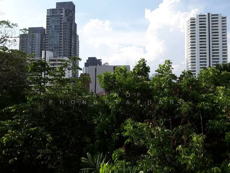 The Avenue Sukumvit 61, Bangkok, Sukhumvit 61, Khlong Tan Nua, Watthana, Bangkok, 1 Bedroom, 107 sqm, Condo For Rent, by Sannop Phongpraphan, 500279273 - DDproperty.com