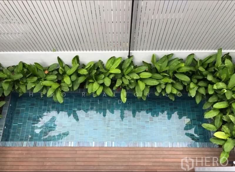 For Rent Detached House with Private Pool Sukhumvit 49 in Watthana Bangkok HRE00619, กรุงเทพ, สุขุมวิท, คลองตันเหนือ, วัฒนา, กรุงเทพ, 430 ตร.ม., บ้านเดี่ยว ให้เช่า, โดย Hero Realtor Co., Ltd., 500279375 - DDproperty.com