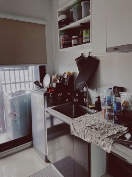 The Tree Sukhumvit 71-Ekamai, Bangkok, 1269 Sukhumvit 71 Road, Suan Luang, Suan Luang, Bangkok, 1 Bedroom, 26 sqm, Condo For Rent, by Praewpakar Soontawong, 500279443 - DDproperty.com