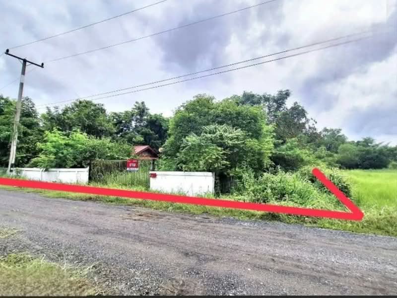 ขาย - ที่ดินจังหาร ร้อยเอ็ด, ร้อยเอ็ด