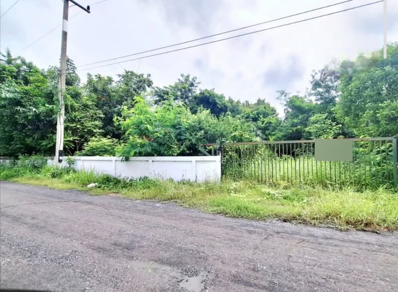 ขาย - ที่ดินจังหาร ร้อยเอ็ด, ร้อยเอ็ด
