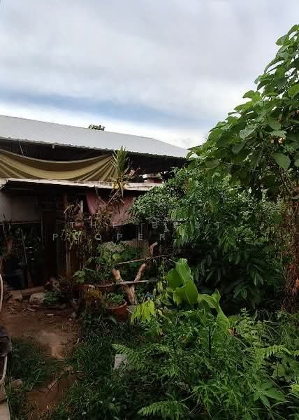 บ้านเดี่ยวคลัง นครศรีธรรมราช, Nakhon Si Thammarat, Klang, Muang Nakhon Sri Thammarat, Nakhon Si Thammarat, 4 Bedrooms, 120 sqm, Single Detached House For Sale, by The Best Property เบล, 500279631 - DDproperty.com